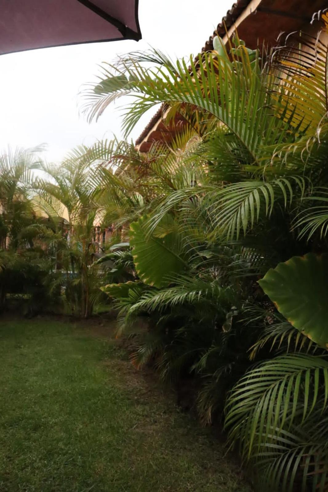 Hotel Boutique Sol Y Luna Spa Ajijic Exteriér fotografie