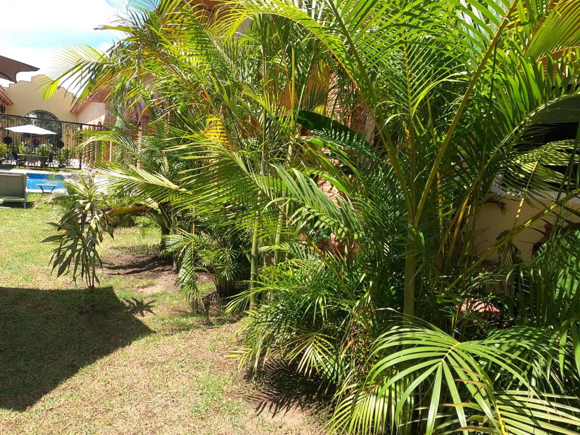 Hotel Boutique Sol Y Luna Spa Ajijic Exteriér fotografie